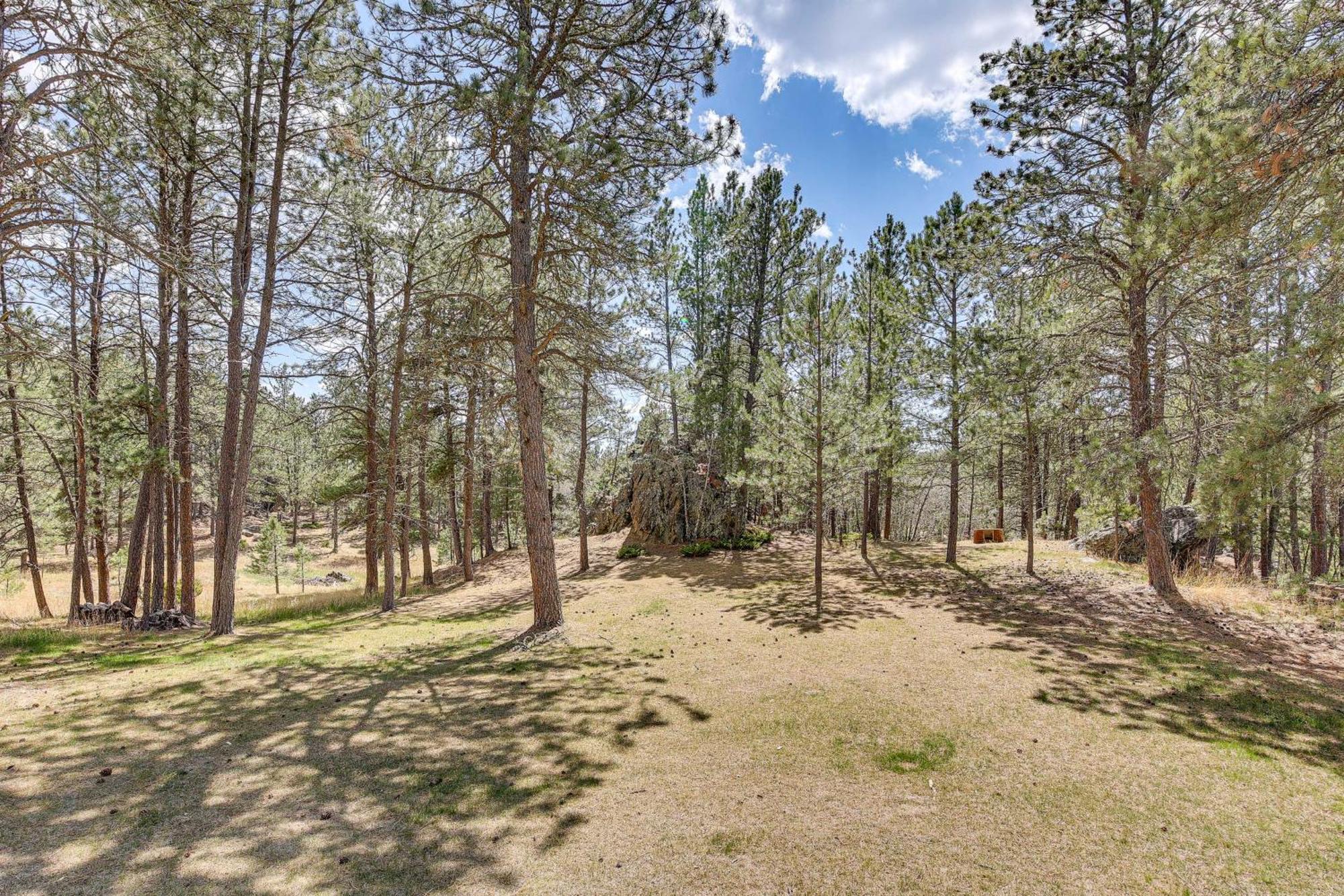 Private Black Hills Home With Corral Horses Welcome 커스터 외부 사진